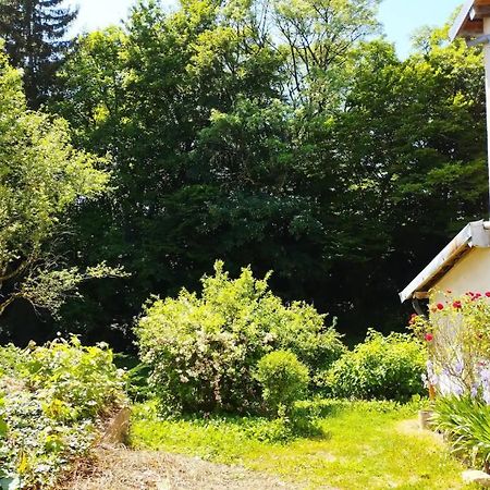 Les Glycines, Un Air De Campagne A La Ville Besançon Zewnętrze zdjęcie