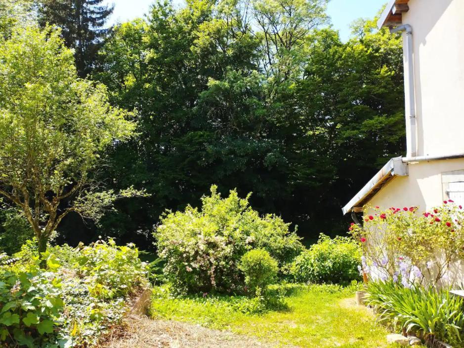 Les Glycines, Un Air De Campagne A La Ville Besançon Zewnętrze zdjęcie